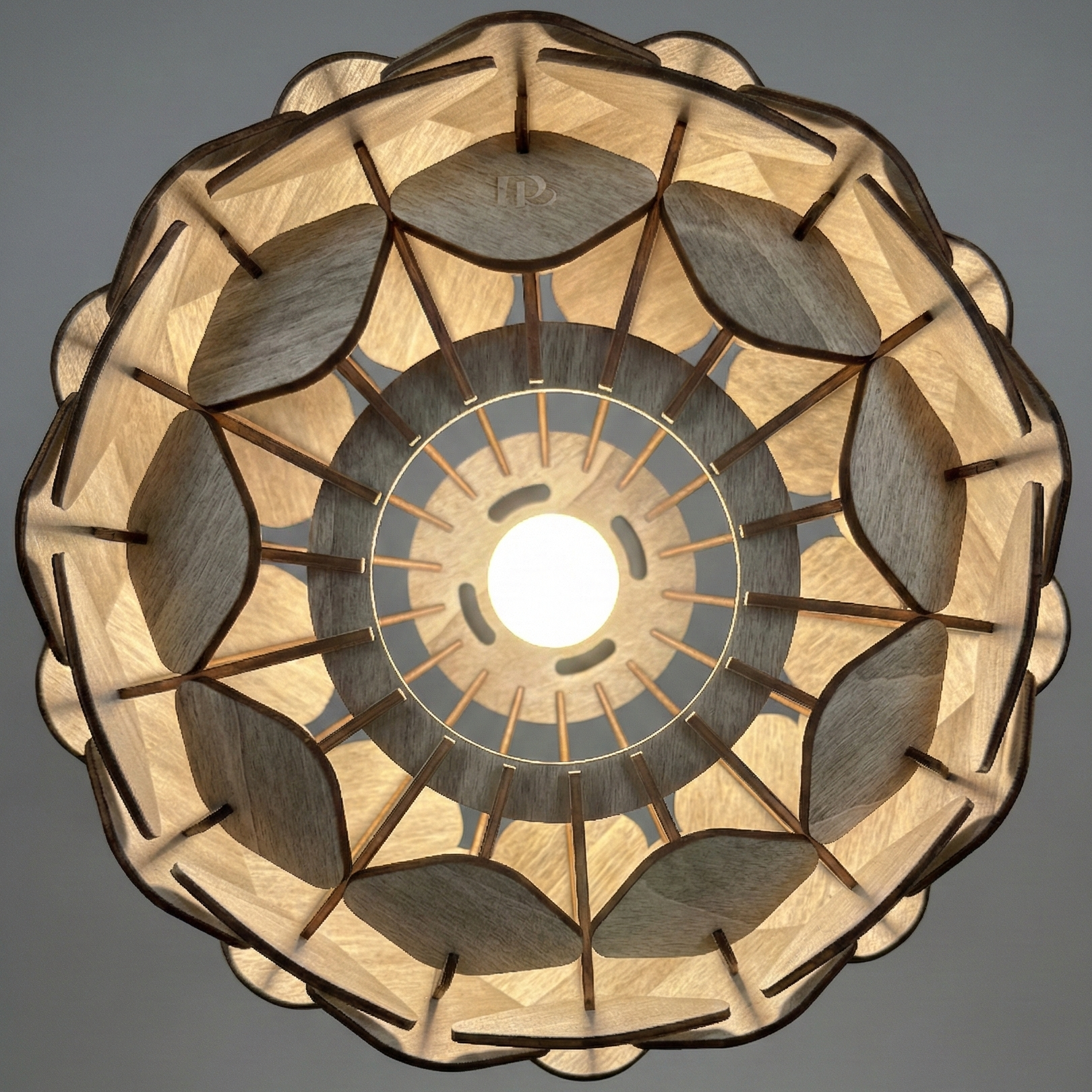 Aska - Limited Edition