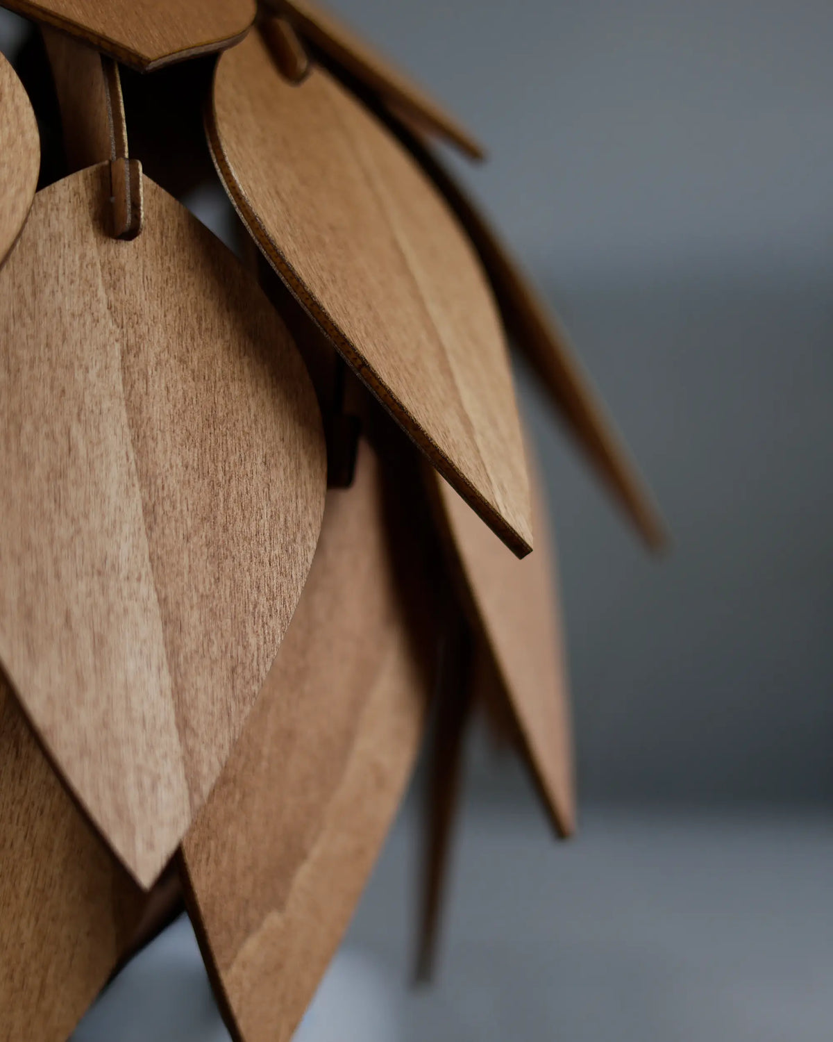 Detalj av träfjällen i Solkotten